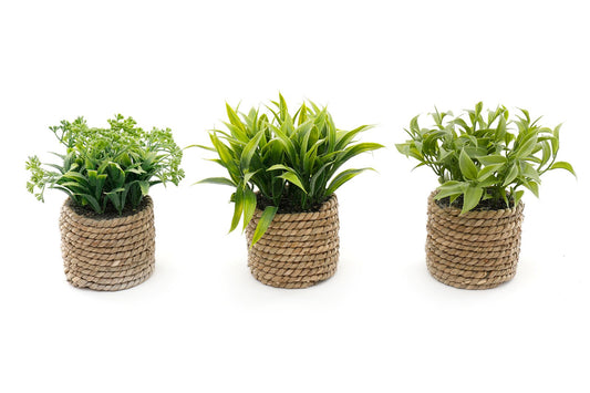 A Set Of Three Rope Effect Pots And Artificial Succulents