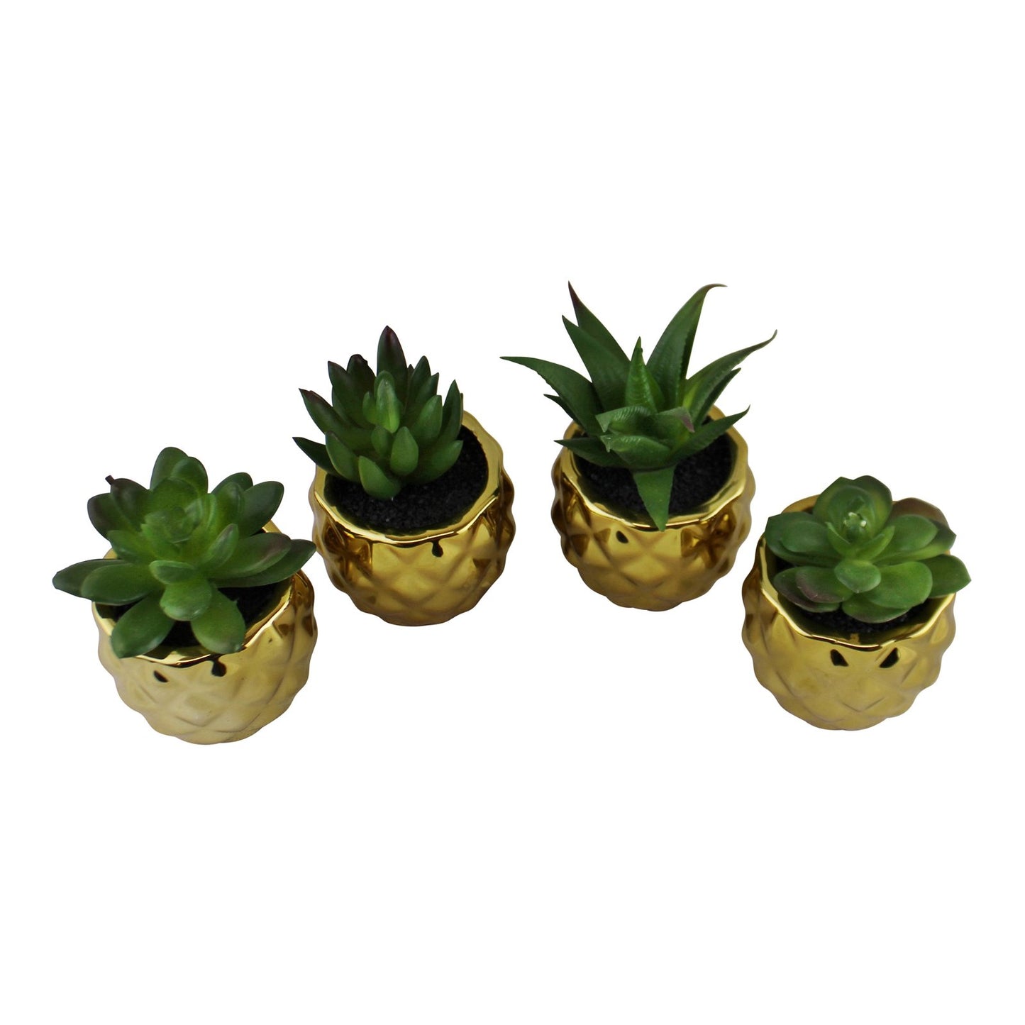 Set of 4 Miniature Succulents In Gold Geometric Pots